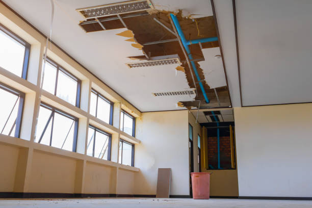 Best Ceiling water damage repair  in Indian Trail, NC