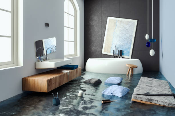 Best Local water damage restoration  in Indian Trail, NC