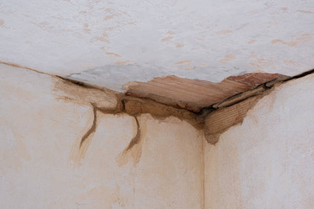 Best Basement water damage restoration  in Indian Trail, NC