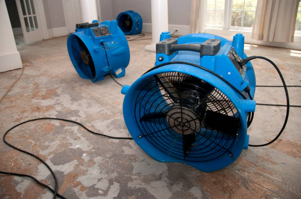 Best Water damage cleanup near me  in Indian Trail, NC