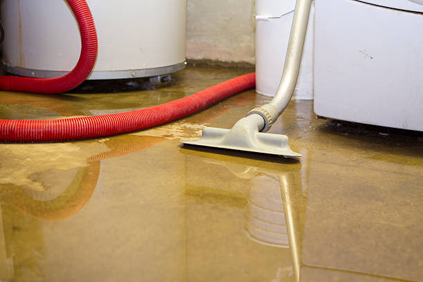 Best Flooded house restoration  in Indian Trail, NC